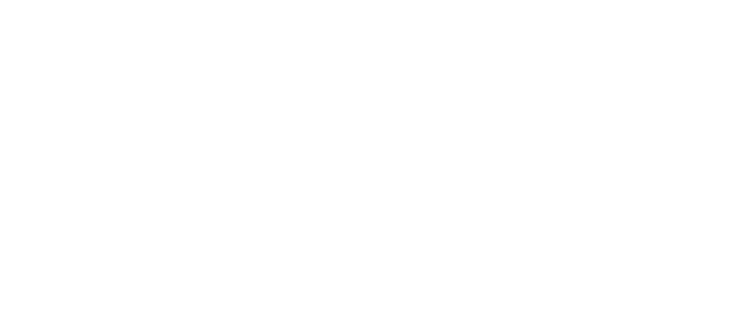 Alta Capacidad Consultores